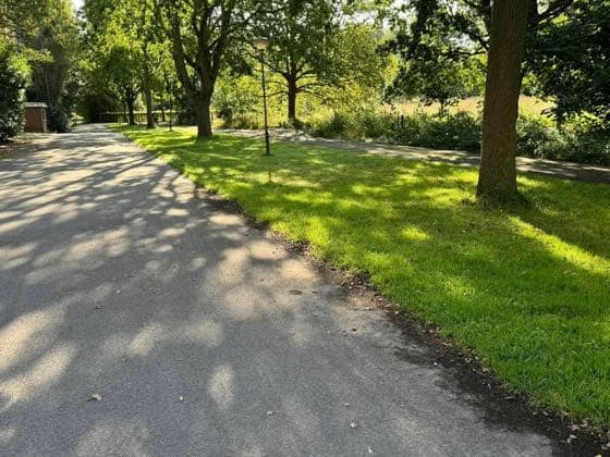 De groene oprit naar de parking.